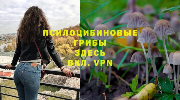 СК Шарыпово