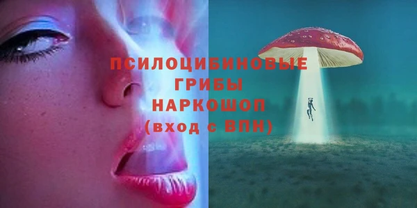эйфоретик Новодвинск