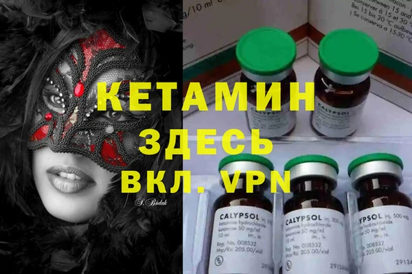 эйфоретик Новодвинск