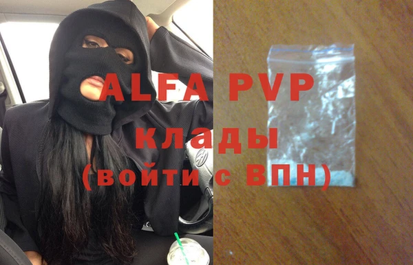 эйфоретик Новодвинск