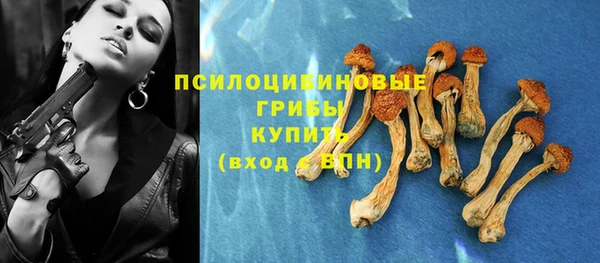 эйфоретик Новодвинск