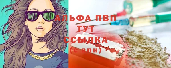 эйфоретик Новодвинск