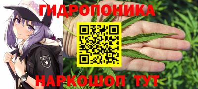 марихуана Будённовск