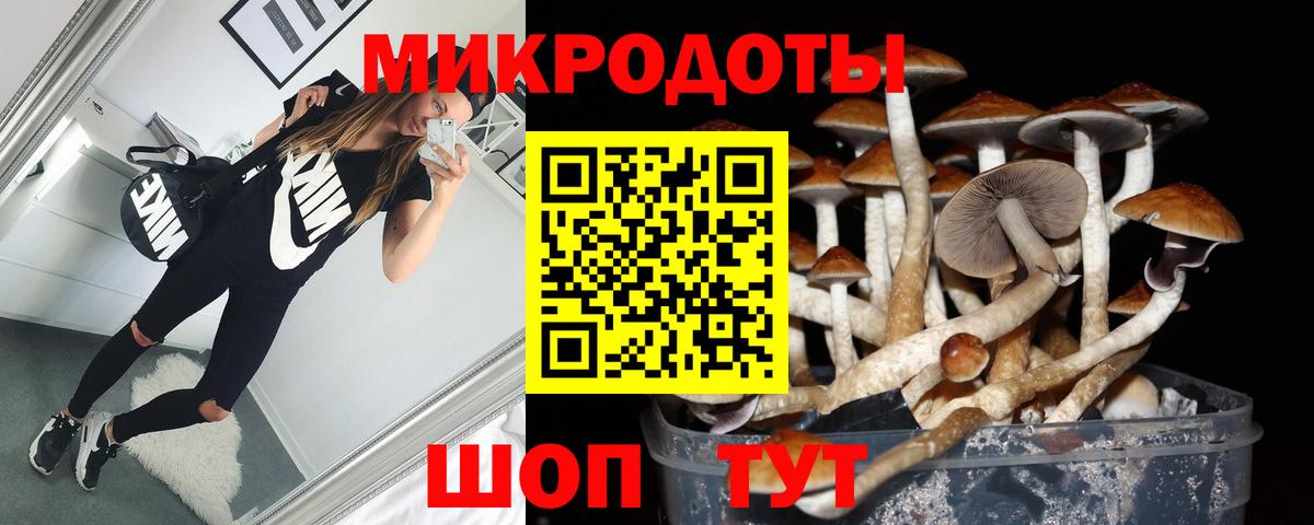 Галлюциногенные грибы GOLDEN TEACHER Кирово-Чепецк